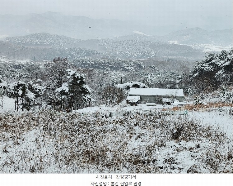 2024타경22286 충청남도 보령시 남포면 소송리 산51 임야 경매 이미지