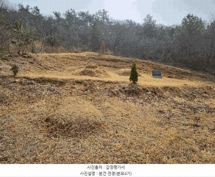 2025타경740 충청남도 서천군 서면 부사리 산33-8 임야 경매 이미지