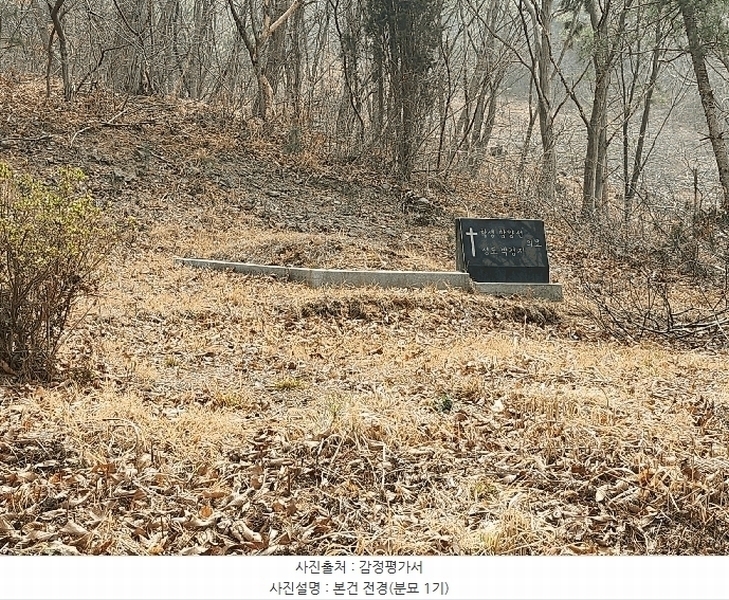 2025타경740 충청남도 서천군 서면 부사리 산33-8 임야 경매 이미지