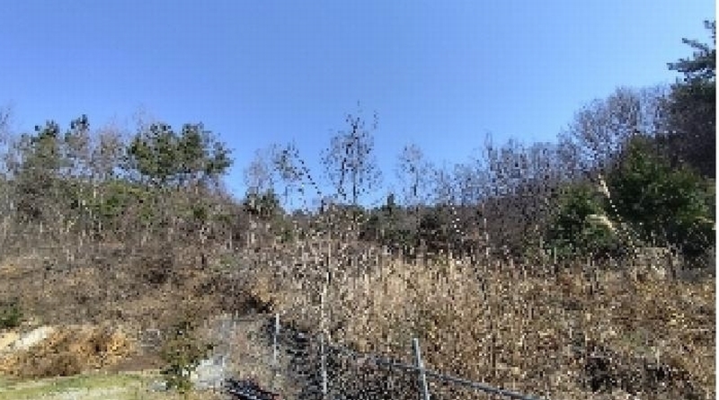 2025타경740 충청남도 서천군 서면 부사리 산33-8 임야 경매 이미지