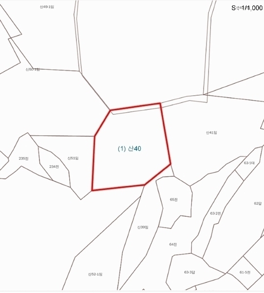 2025타경1010 충청남도 홍성군 서부면 광리 산40 임야 경매 이미지