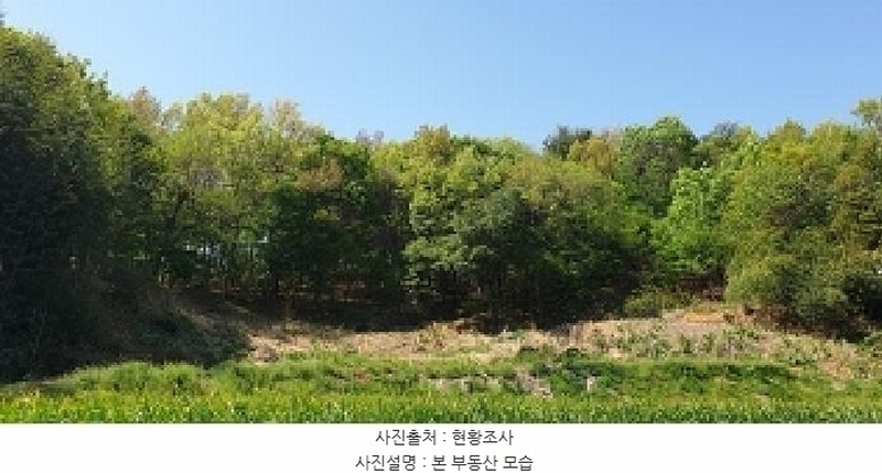 2025타경1010 충청남도 홍성군 서부면 광리 산40 임야 경매 이미지