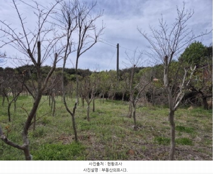 2025타경1032 울산광역시 북구 달천동 65-5 농지 경매 이미지