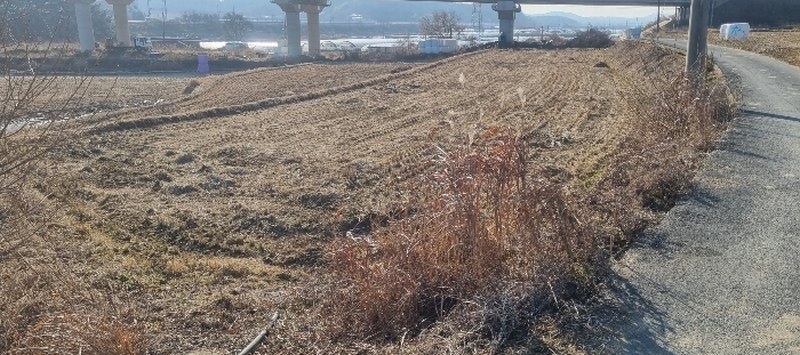 2025타경15223 충청남도 홍성군 홍북읍 산수리 281 농지 경매 이미지