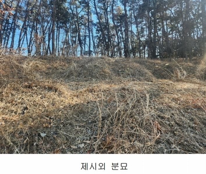 2025타경15550 충청남도 서천군 비인면 선도리 산15 임야 경매 이미지
