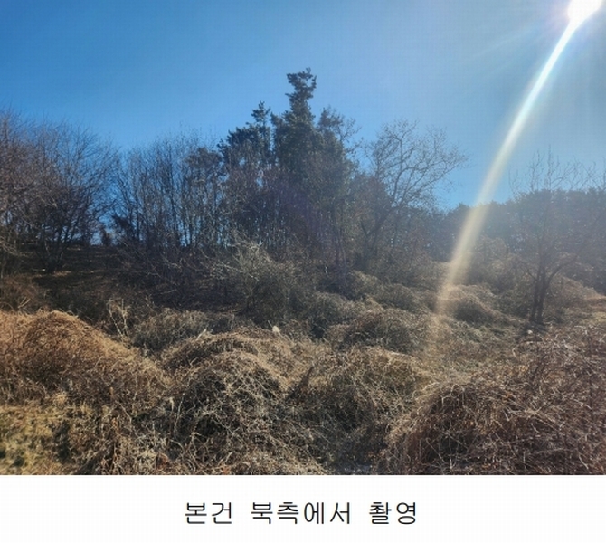 2025타경15550 충청남도 서천군 비인면 선도리 산15 임야 경매 이미지