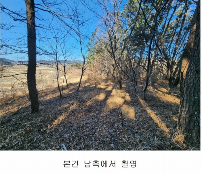 2025타경15550 충청남도 서천군 비인면 선도리 산15 임야 경매 이미지