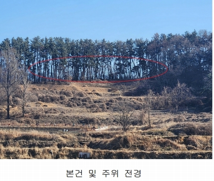 2025타경15550 충청남도 서천군 비인면 선도리 산15 임야 경매 이미지