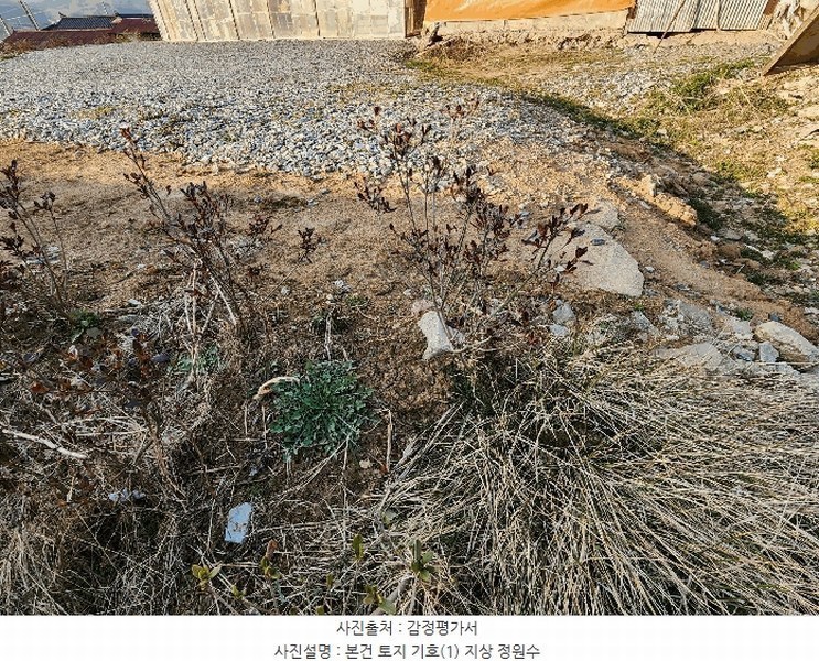 2025타경15567 충청남도 홍성군 광천읍 대평리 542 농지 경매 이미지