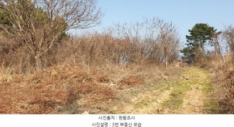 2025타경15591 충청남도 보령시 오천면 원산도리 734-5 농지 경매 이미지