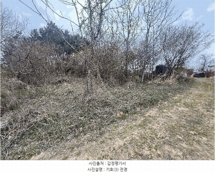 2025타경15591 충청남도 보령시 오천면 원산도리 734-5 농지 경매 이미지