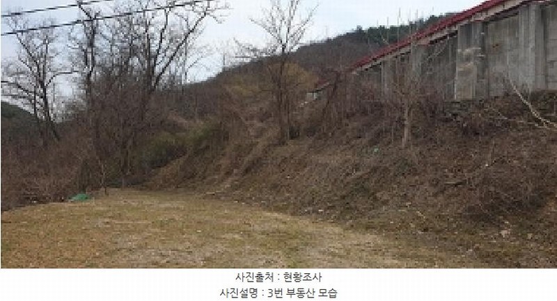 2025타경15600 충청남도 홍성군 장곡면 대현리 113 농지 경매 이미지