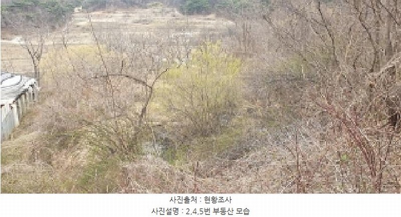 2025타경15600 충청남도 홍성군 장곡면 대현리 113 농지 경매 이미지