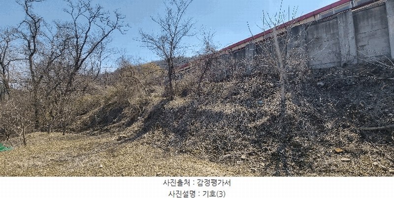 2025타경15600 충청남도 홍성군 장곡면 대현리 113 농지 경매 이미지