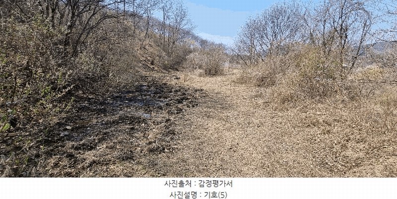 2025타경15600 충청남도 홍성군 장곡면 대현리 113 농지 경매 이미지
