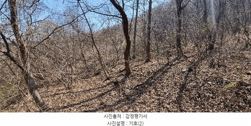 2025타경15600 충청남도 홍성군 장곡면 대현리 113 농지 경매 이미지