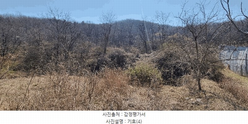 2025타경15600 충청남도 홍성군 장곡면 대현리 113 농지 경매 이미지