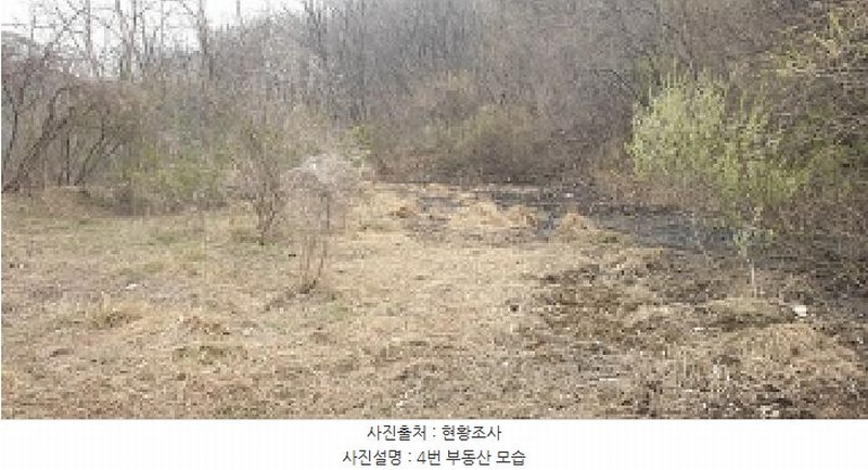 2025타경15600 충청남도 홍성군 장곡면 대현리 113 농지 경매 이미지