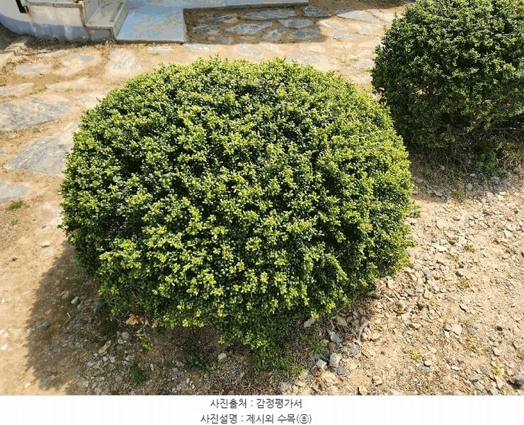 2025타경15615 충청남도 서천군 장항읍 송림리 760-24 도로 경매 이미지