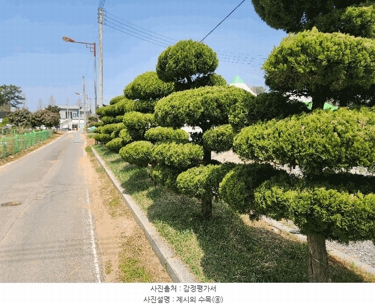 2025타경15615 충청남도 서천군 장항읍 송림리 760-24 도로 경매 이미지
