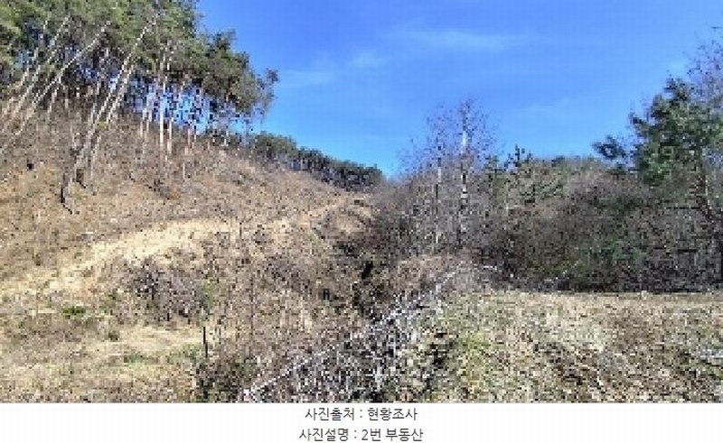 2025타경15619 충청남도 서천군 판교면 심동리 산37 임야 경매 이미지