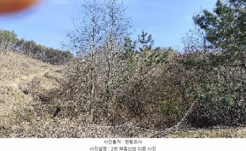 2025타경15619 충청남도 서천군 판교면 심동리 산37 임야 경매 이미지