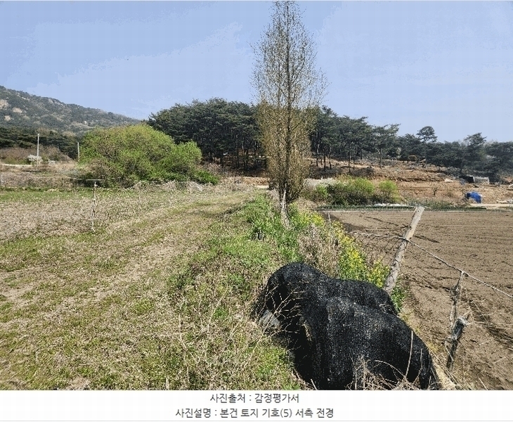 2025타경15647 충청남도 예산군 덕산면 광천리 744-3 농지 경매 이미지