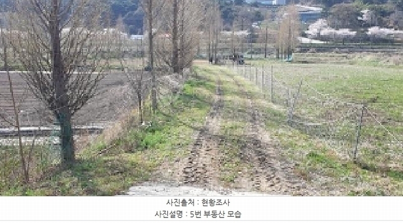 2025타경15647 충청남도 예산군 덕산면 광천리 744-3 농지 경매 이미지