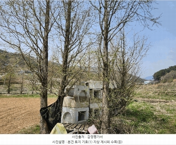 2025타경15647 충청남도 예산군 덕산면 광천리 744-3 농지 경매 이미지