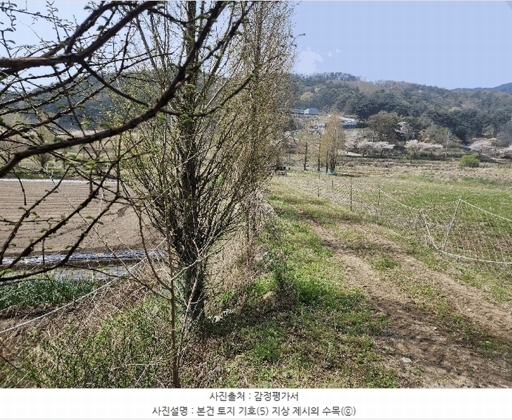 2025타경15647 충청남도 예산군 덕산면 광천리 744-3 농지 경매 이미지