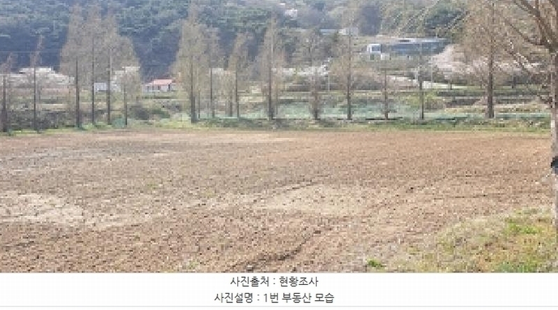 2025타경15647 충청남도 예산군 덕산면 광천리 744-3 농지 경매 이미지