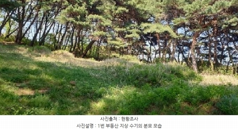2025타경15678 충청남도 홍성군 홍북읍 노은리 산5-1 임야 경매 이미지