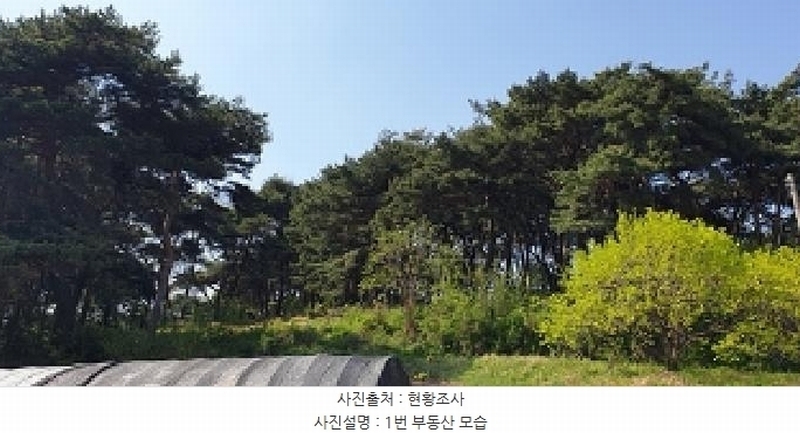 2025타경15678 충청남도 홍성군 홍북읍 노은리 산5-1 임야 경매 이미지