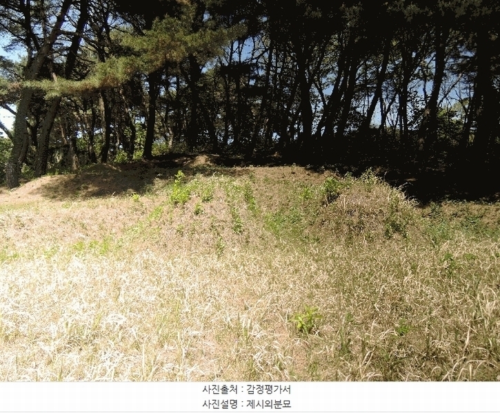 2025타경15678 충청남도 홍성군 홍북읍 노은리 산5-1 임야 경매 이미지