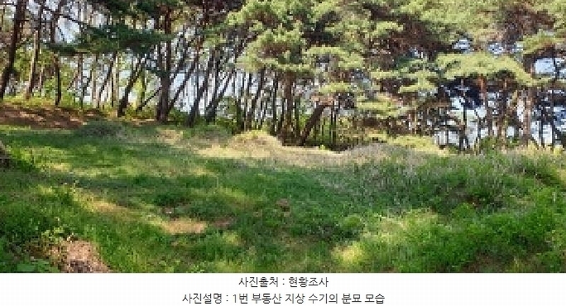 2025타경15678 충청남도 홍성군 홍북읍 노은리 산5-1 임야 경매 이미지