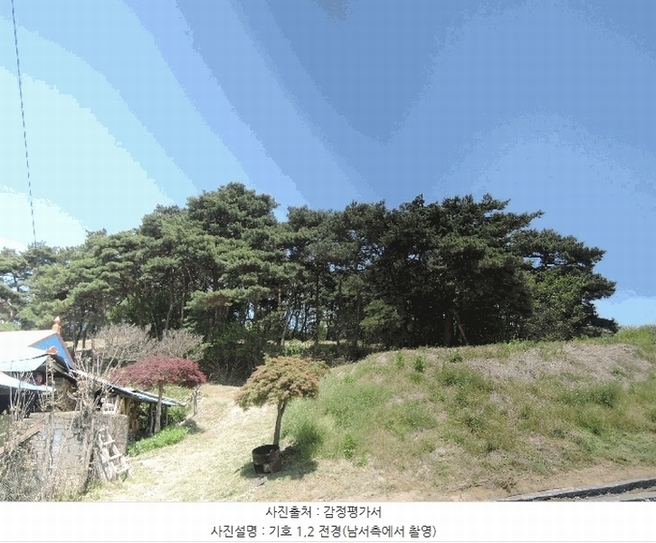2025타경15678 충청남도 홍성군 홍북읍 노은리 산5-1 임야 경매 이미지