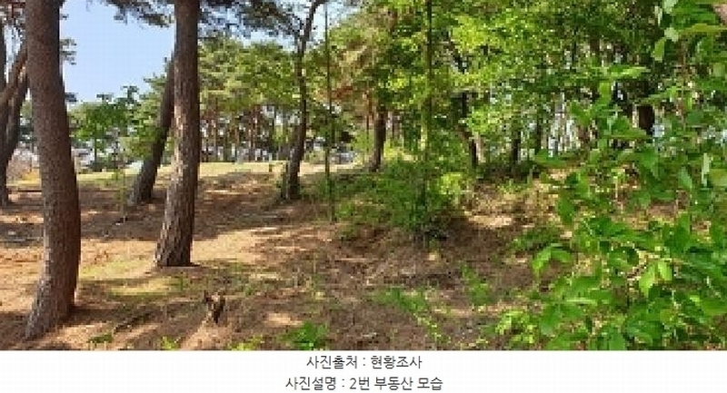 2025타경15678 충청남도 홍성군 홍북읍 노은리 산5-1 임야 경매 이미지