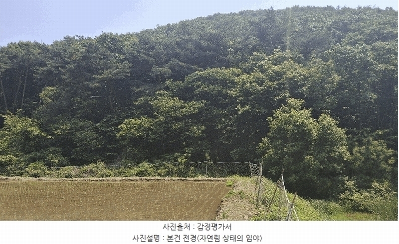 2025타경15704 충청남도 보령시 오천면 영보리 산21-48 임야 경매 이미지