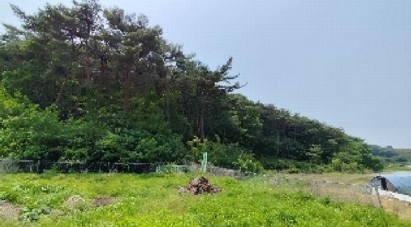2025타경15704 충청남도 보령시 오천면 영보리 산21-48 임야 경매 이미지