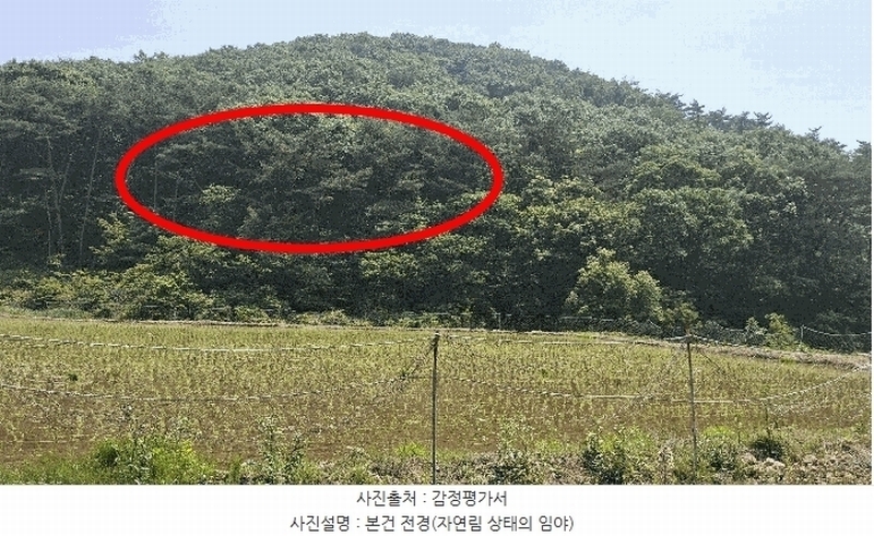 2025타경15704 충청남도 보령시 오천면 영보리 산21-48 임야 경매 이미지