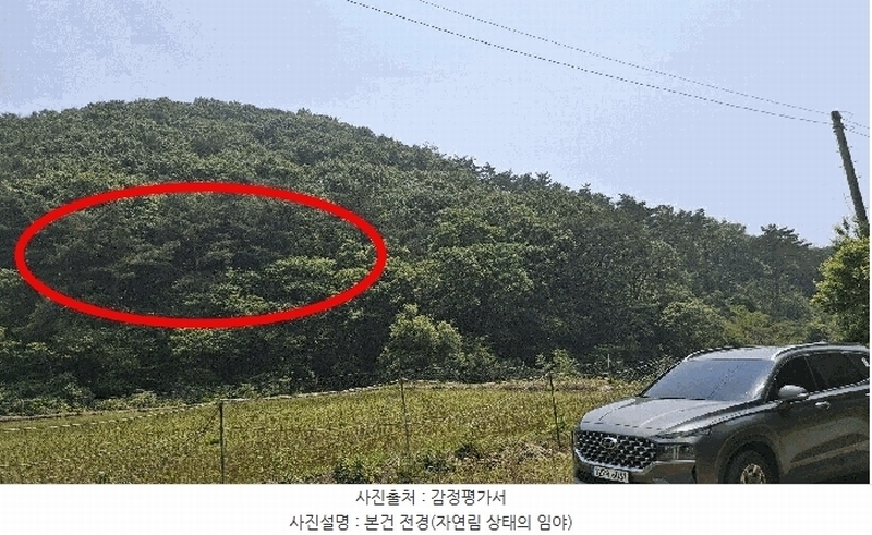 2025타경15704 충청남도 보령시 오천면 영보리 산21-48 임야 경매 이미지