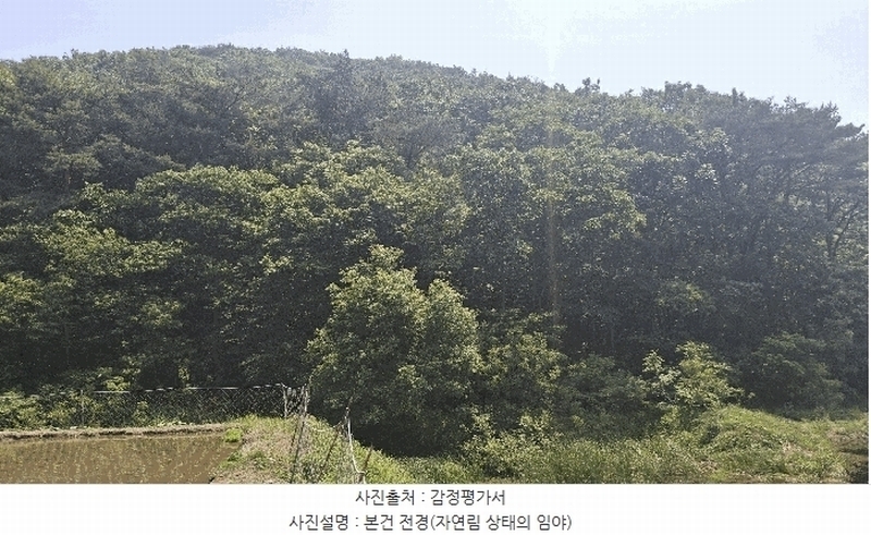 2025타경15704 충청남도 보령시 오천면 영보리 산21-48 임야 경매 이미지