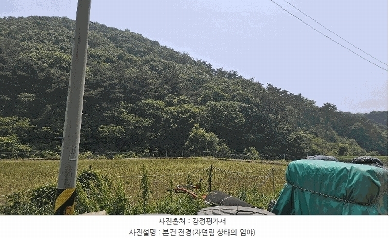 2025타경15704 충청남도 보령시 오천면 영보리 산21-48 임야 경매 이미지