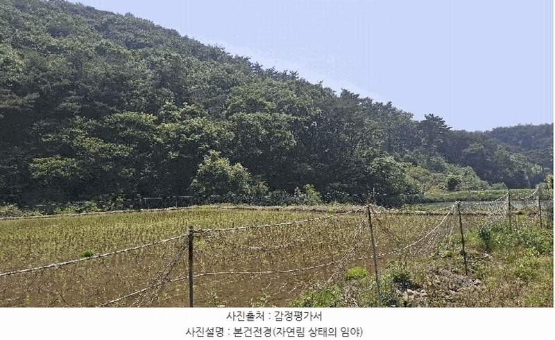 2025타경15704 충청남도 보령시 오천면 영보리 산21-48 임야 경매 이미지