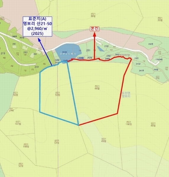 2025타경15704 충청남도 보령시 오천면 영보리 산21-48 임야 경매 이미지
