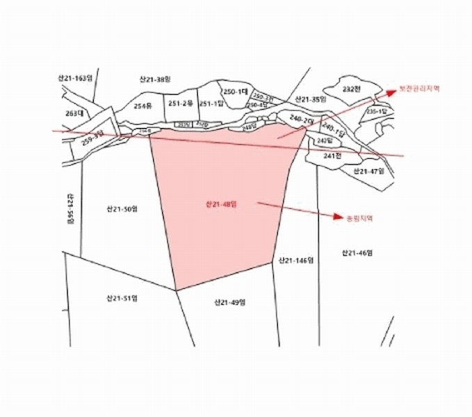 2025타경15704 충청남도 보령시 오천면 영보리 산21-48 임야 경매 이미지