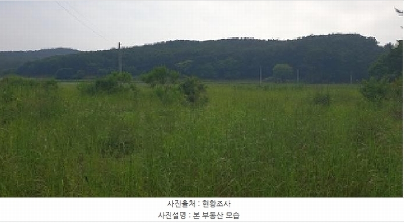 2025타경15723 충청남도 보령시 오천면 삽시도리 121-27 농지 경매 이미지