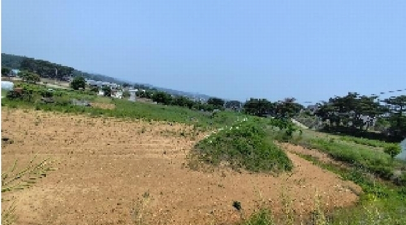 2025타경15729 충청남도 보령시 청소면 야현리 205-7 농지 경매 이미지