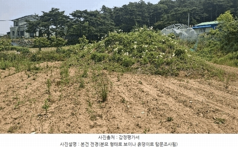 2025타경15729 충청남도 보령시 청소면 야현리 205-7 농지 경매 이미지