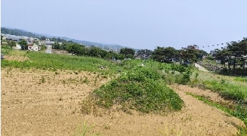 2025타경15729 충청남도 보령시 청소면 야현리 205-7 농지 경매 이미지